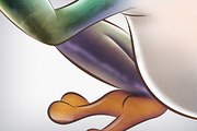 Red-Eyed Treefrog Illustration, an Animal Illustration by Mgd.Design (Thumbnail 4 of 5)