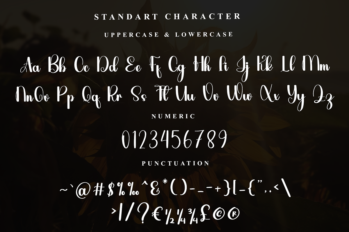 Rainday, a Script Font by InermediaSTUDIO (Photo 2 of 7)