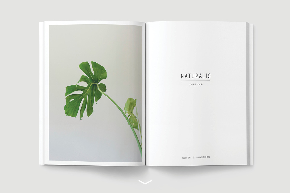 NATURALIS Lookbook / Magazine, a Magazine Template by 46&2 Collective (Photo 2 of 7)