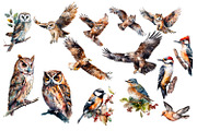 Watercolour Animals and plants, an Animal Illustration by AkvarelRiver (Thumbnail 2 of 16)