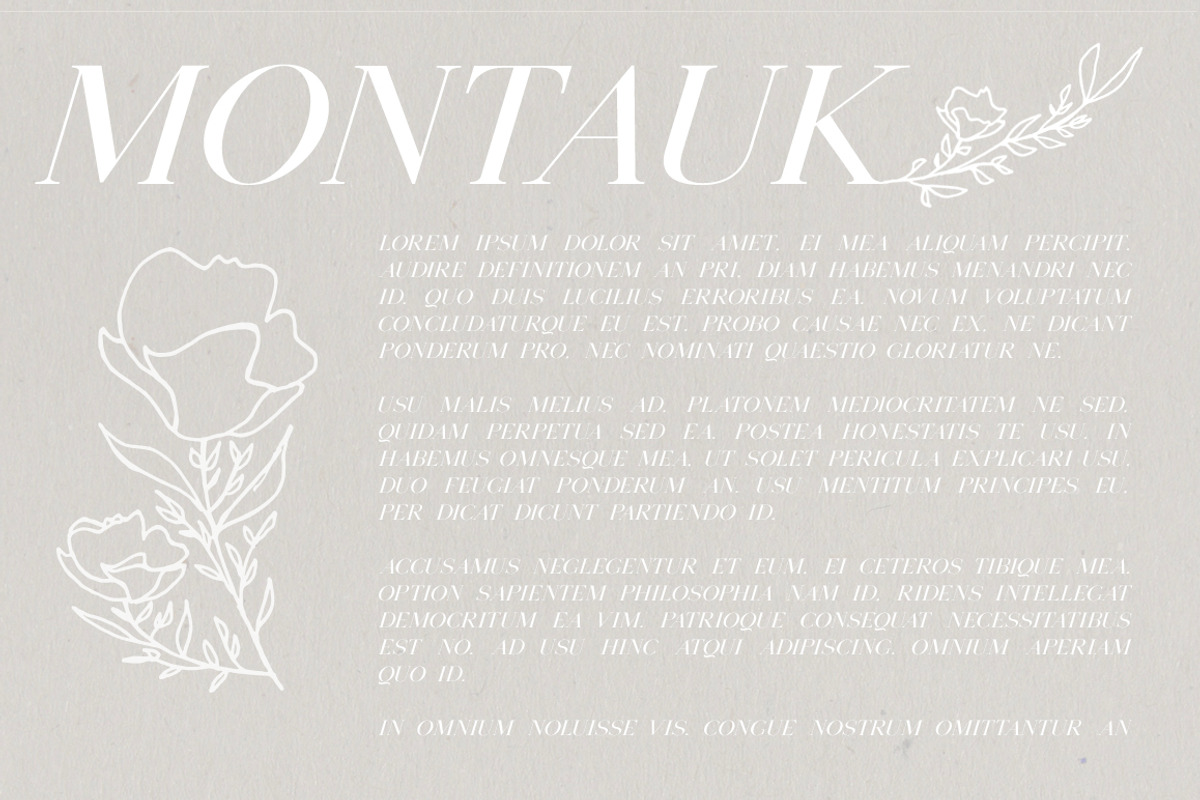 Montauk | Serif + Bonus Vectors preview 3