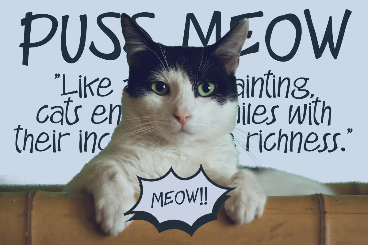 Comicks Scribbles Handwritten Font, a Handwritten Font by Ronny Studio (Photo 3 of 9)