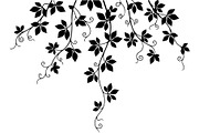 Hanging Vines Silhouette, an Object Graphic by Creativeshirt (Thumbnail 19 of 20)