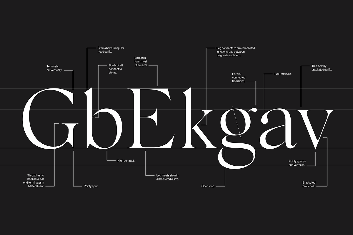 Silk Serif - 14 font family, a Serif Font by Silktype (Photo 14 of 17)