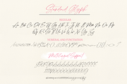 Black Stanky, a Script Font by artisans (Thumbnail 11 of 11)