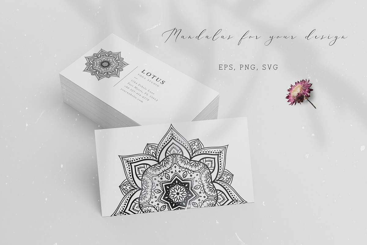 150 items. Mandalas and Elephant, an Animal Illustration by anvinoart (Photo 10 of 10)