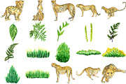8 Cheetah Realistic Watercolor PNG, an Animal Illustration by LilyBoo Clipart (Thumbnail 3 of 4)