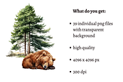 Woodland Animals Clipart Bundle, an Animal Illustration by Mash Mash Stickers (Thumbnail 2 of 9)