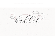 Adore Calligraphy Font, a Script Font by The Styled Script (Thumbnail 7 of 12)