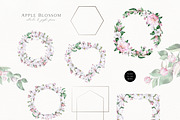 Apple Blossom, a Decorative Illustration by Olga Koelsch (Thumbnail 4 of 9)