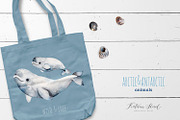 Arctic&Antarctic animals, an Animal Illustration by Kate_Rina (Thumbnail 4 of 4)