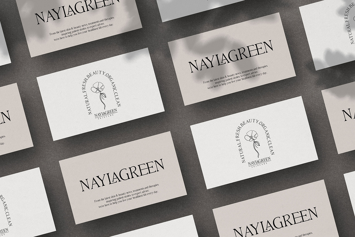 Billiers | Modern Ligature Typeface, a Serif Font by Almeera Std (Photo 6 of 12)