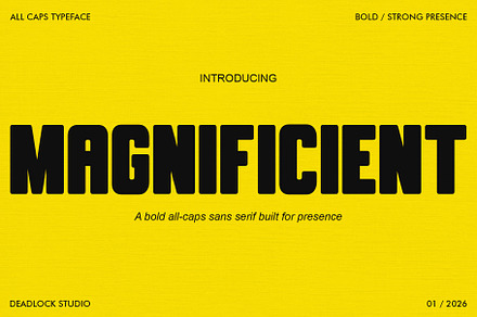 MAGNIFICIENT! HEADLINE FONT!