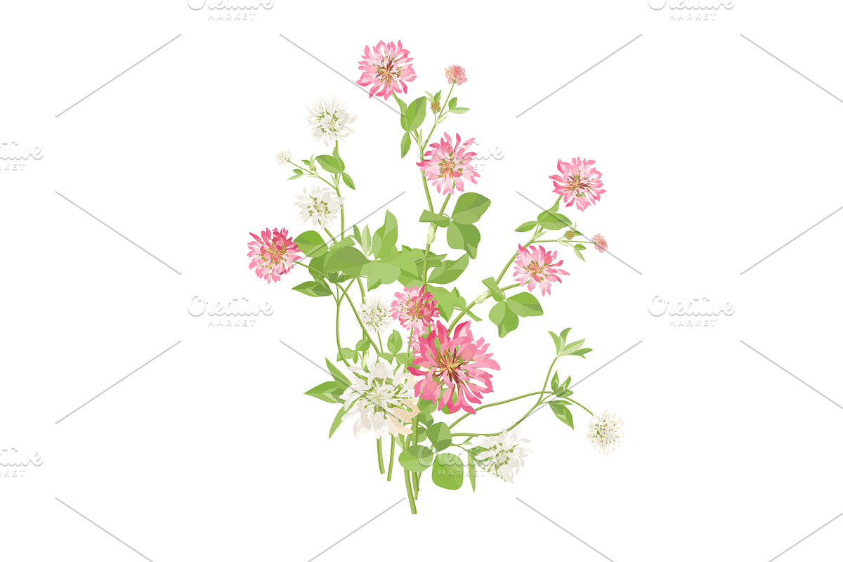 Vector object brushes. Clover, a Brush Add-On by Peolla (Photo 11 of 14)