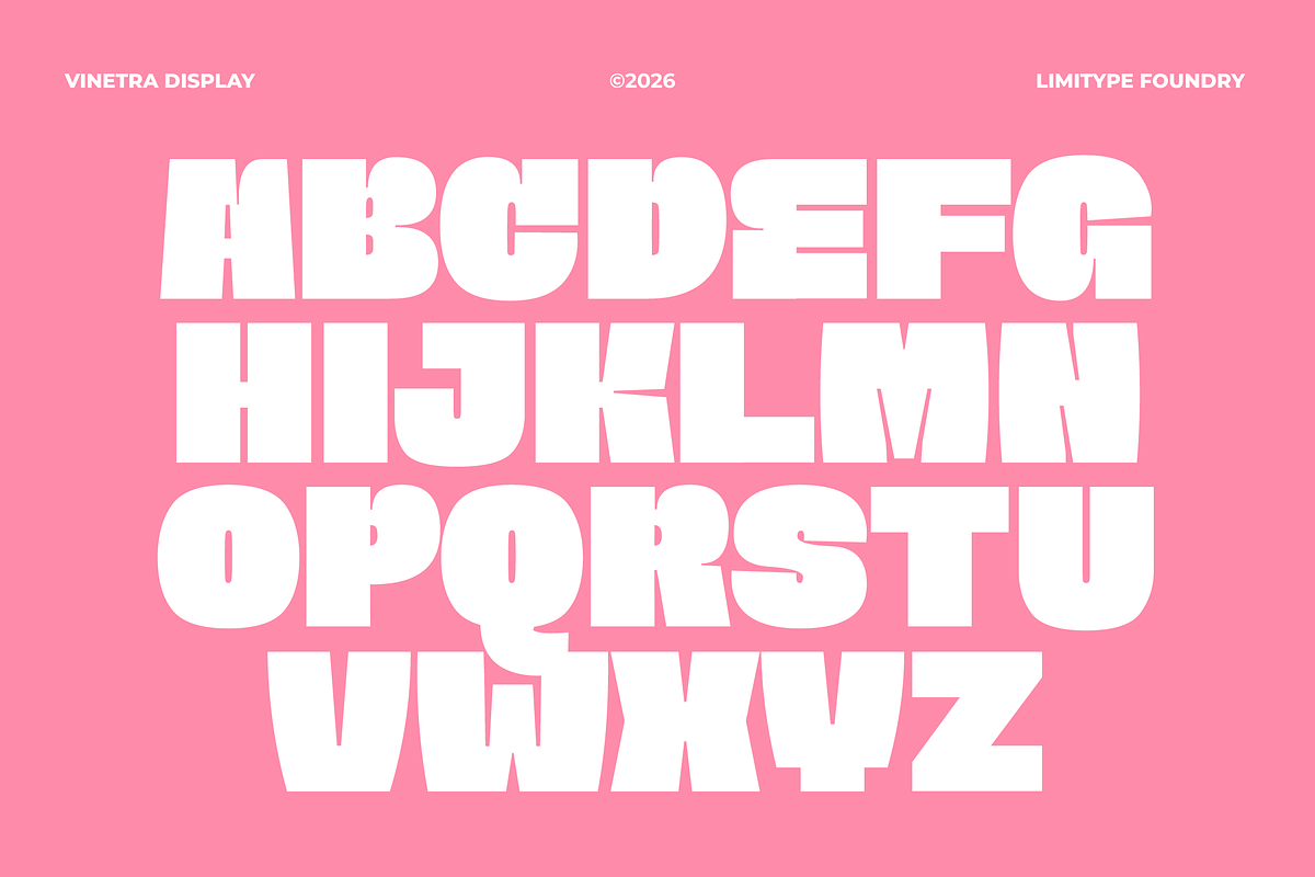 Vinetra - Bold Font, a Sans Serif Font by limitype (Photo 5 of 11)