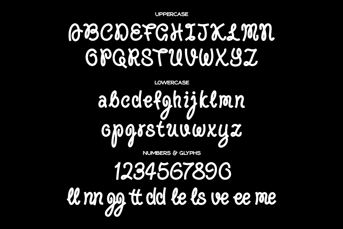 Silly Goose Script Font, a Script Font by Tom Gordon Design (Photo 3 of 5)