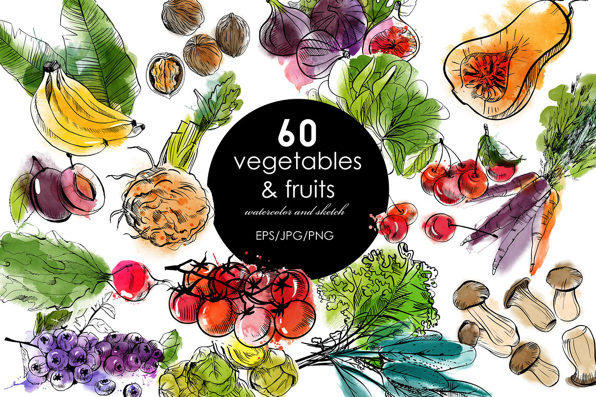 60 Vegetabiles and Fruits., an Illustration by Tatiana Davidova (Photo 1 of 3)
