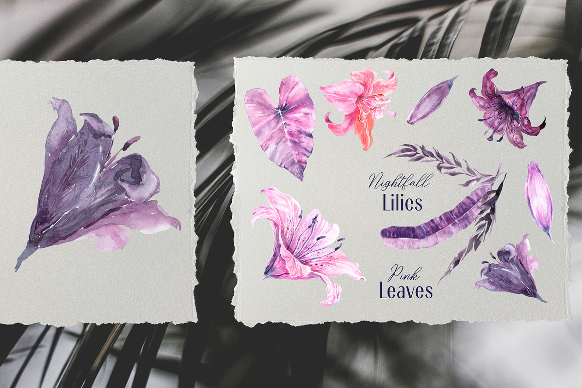 Nightfall Tropics Watercolor Set, an Illustration by Cat In Colour (Photo 6 of 11)