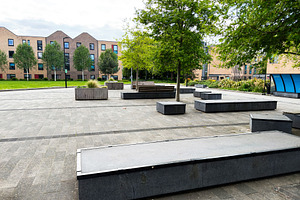 Empty urban plaza with concrete benches and trees on a universit