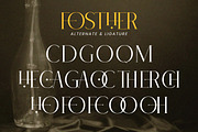 Fosther - Elegant Serif Font, a Serif Font by Flawless And Co (Thumbnail 10 of 10)