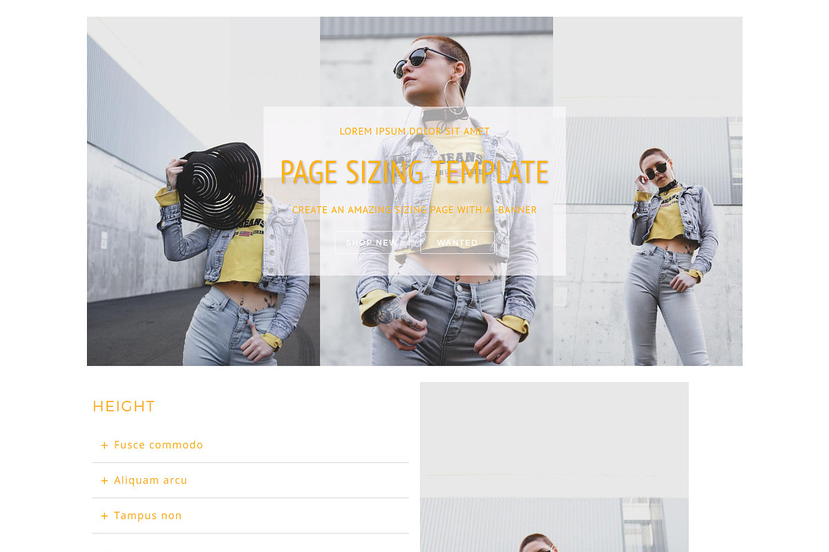 .co|co - shopify theme, a Shopify Template by inSTUDIO43 (Photo 9 of 10)