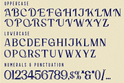 Discuss Lessons Font, a Serif Font by 177Studio (Thumbnail 8 of 8)