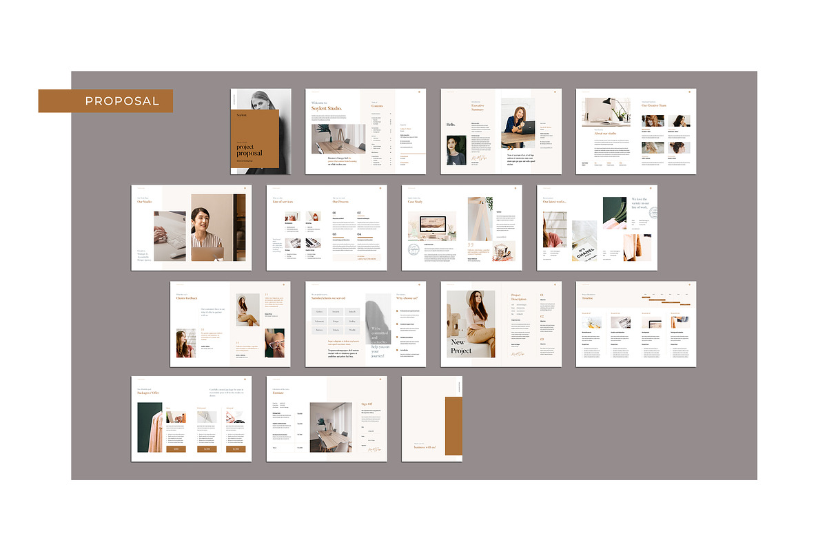 Proposal Pitch Pack, a Brochure Template by GraphicsEgg (Photo 10 of 12)