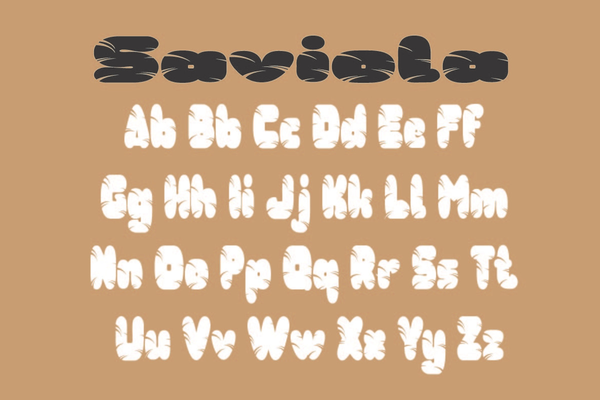 Saviola, a Script Font by AleraStudio (Photo 7 of 7)