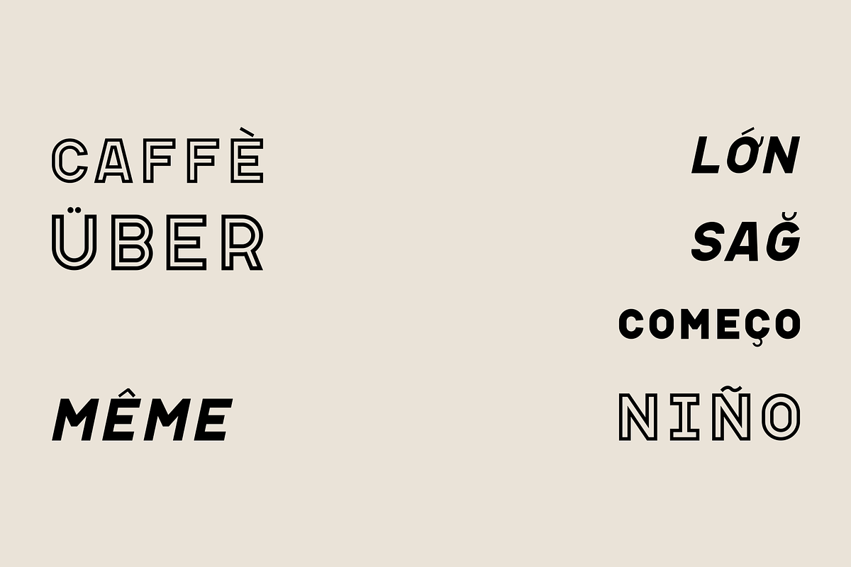 Apice – Font Family, a Font by Stefano Giliberti (Photo 9 of 10)