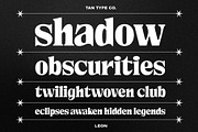TAN - LEON, a Serif Font by TanType (Thumbnail 9 of 10)