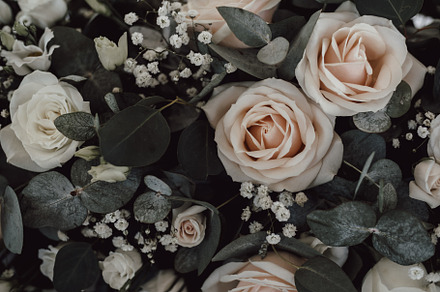 Wedding Roses 2, a Photo by RE7 Creative