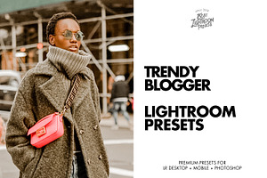Lightroom Presets Trendy Blogger