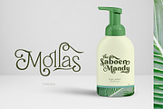 Mollas Typeface, a Serif Font by alit design (Thumbnail 9 of 18)