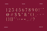 Margiona Modern Elegant Serif Font, a Serif Font by Rasio Studio (Thumbnail 3 of 9)
