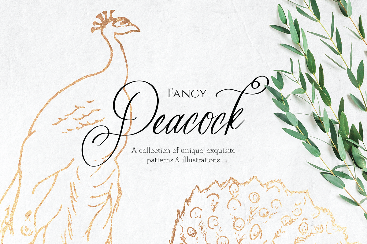 Fancy Peacock Collection, a Texture Illustration by DesignsByMissM (Photo 1 of 4)