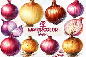 Watercolor Onion Clipart, an Illustration by Designworld