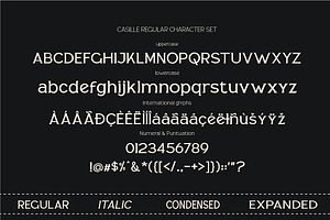 CASILLE - Serif Family