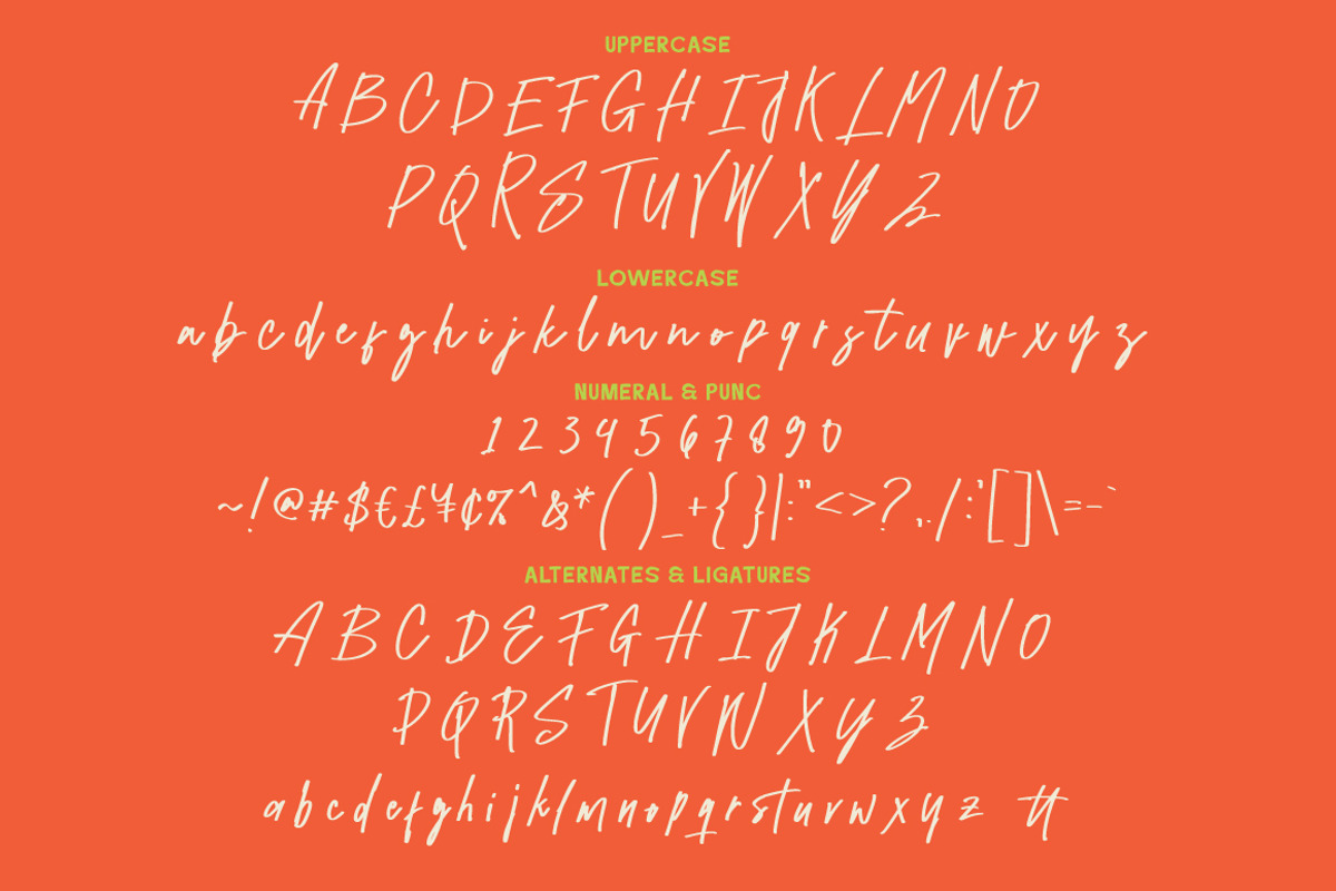 Delectus - Signature Font Duo, a Handwritten Font by tebaltipislab (Photo 8 of 15)