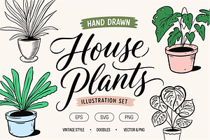 Hand Drawn House Plants Set, an Object Illustration by Oktyabr