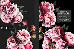 Peony Floral Clip Art