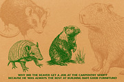 330 ZOO Animals vector illustrations, an Animal Illustration by Nocturnal Wolf (Thumbnail 3 of 18)