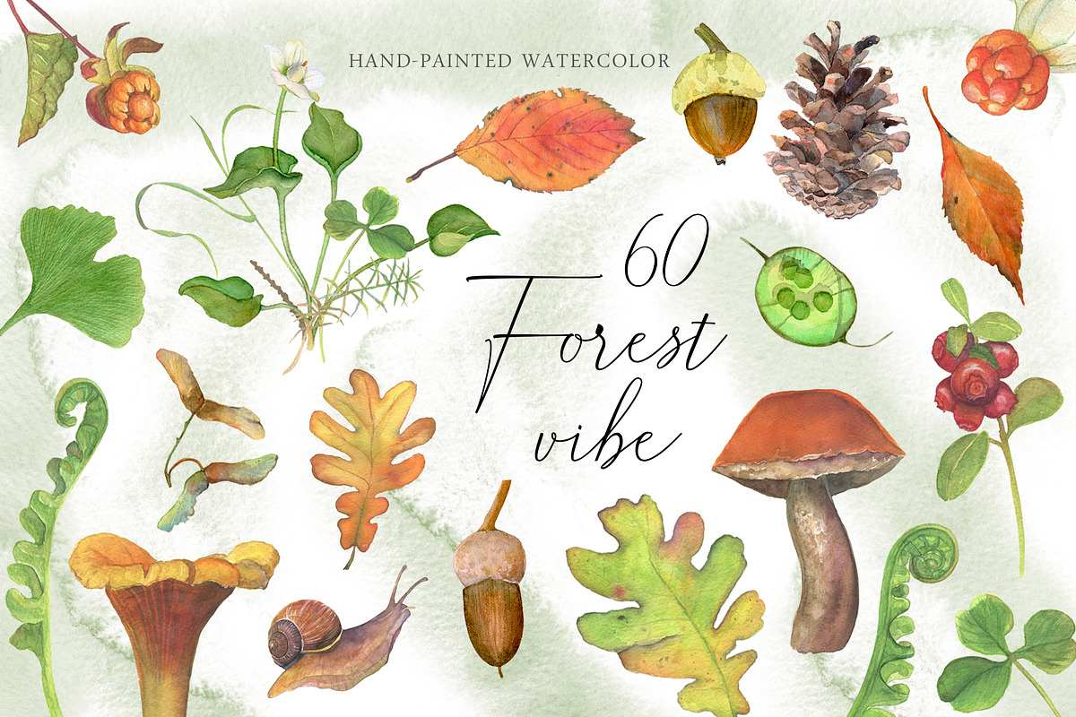 Watercolor: set of forest elements, a Graphic by WatercolorAnn (Photo 1 of 13)