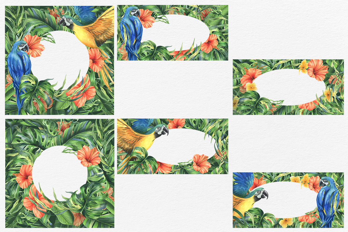 Parrots & tropical leaves watercolor, an Animal Illustration by NATASHA CHU (Photo 9 of 21)