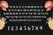 Noresa Modern Editorial Serif, a Serif Font by timelesstype.co (Thumbnail 18 of 20)