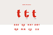 Something New A Serif Blackletter, a Blackletter Font by Colt Type Co (Thumbnail 6 of 7)