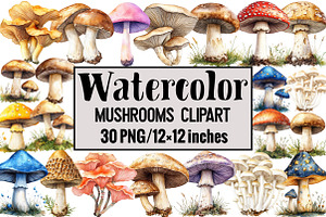 Mushrooms Clipart, an Illustration by Design Market