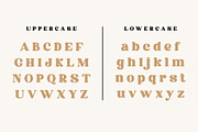 Qalista | A Modern Bold Serif, a Serif Font by Andrimada Creative (Thumbnail 9 of 11)