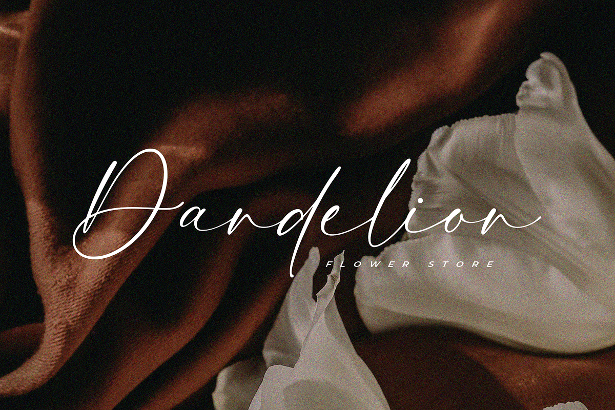 Anglewhite – An Elegant Calligraphy, a Script Font by Pen Culture (Photo 6 of 8)