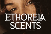 Baftvest Modern Serif Font, a Serif Font by Storytype Studio (Thumbnail 11 of 15)
