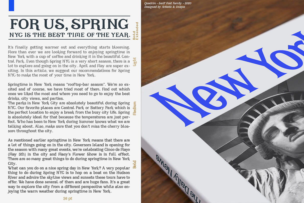Quadrim - Serif Font Family, a Serif Font by Artistic & Unique (Photo 9 of 16)